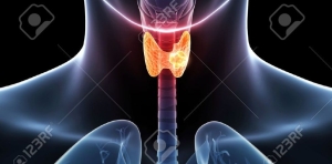 Cáncer de tiroides: ¿Mujeres tienen más riesgo? - Mayo Clinic