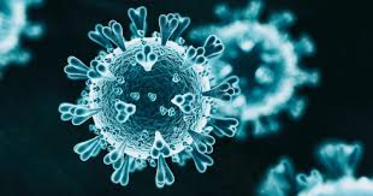 ¿Qué significa la mutación de un virus y cómo nos defendemos de ellos?