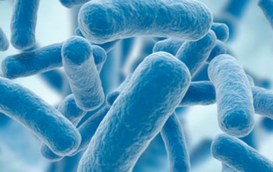 Probióticos reducen riesgo de alergias, resistencia a antibióticos y enfermedades intestinales en recién nacidos