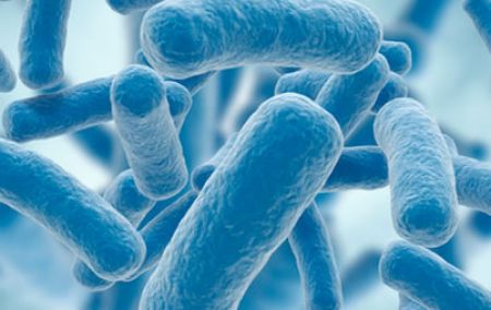 Probióticos reducen riesgo de alergias, resistencia a antibióticos y enfermedades intestinales en recién nacidos