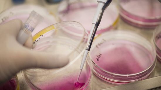 Análisis genéticos pueden llevar a mejor detección del cáncer e intervenciones