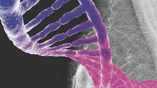 Cáncer de mama, un cambio de paradigma ante la enfermedad