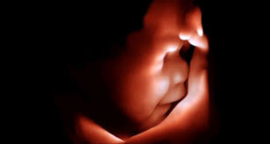 Imágenes 3D realistas ayudan a mejorar el cuidado del embarazo y fomentar la conexión entre la madre y el feto