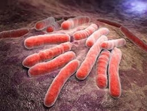 Tuberculosis latente en niños: cómo las pruebas pueden ayudar a un diagnóstico más eficaz de la enfermedad en México