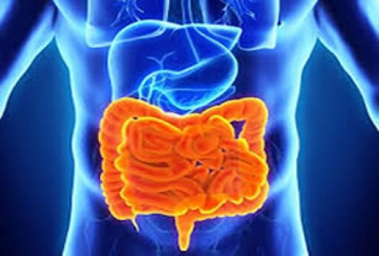 El Síndrome de Intestino Irritable (SII), padecimiento más común en mujeres