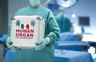 Más de 15 mil pacientes en lista de espera para recibir un trasplante de riñón