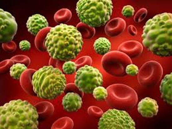 Fármacos contra el cáncer ayudan a perder peso a ratones con obesidad mórbida