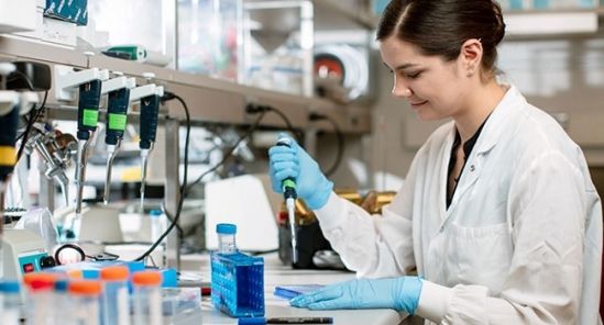 Eliminar las “células zombi” alivia las causas de diabetes en ratones con obesidad