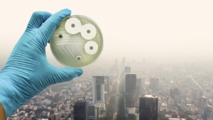 Contaminación incidiría en resistencia bacteriana a los antibióticos