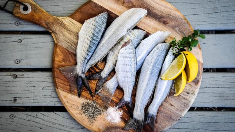 La dieta del mar y sus beneficios