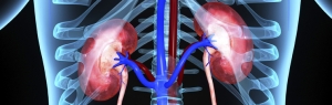 Panorama del tratamiento del carcinoma de células renales y sus desafíos