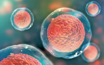 Investigadores del Cinvestav plantean regenerar la retina con células madre