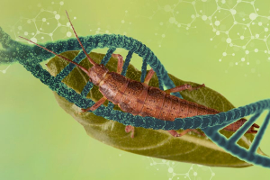 Investigación de la UNAM para descifrar la evolución del genoma humano