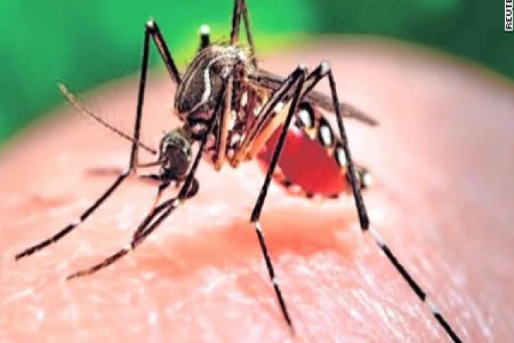ENCUESTA:: 84% de los mexicanos les preocupa el dengue, Zika y Chikungunya