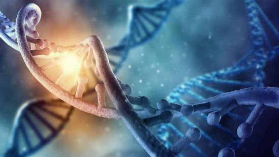 Los senolíticos mejoran la salud y prolongan la vida: resultados del estudio preclínico