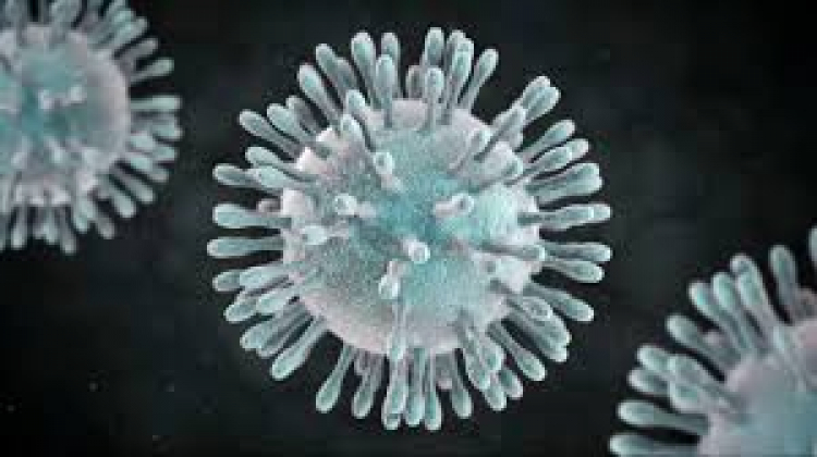 Coronavirus causa muerte celular y produce citocinas que generan inflamación