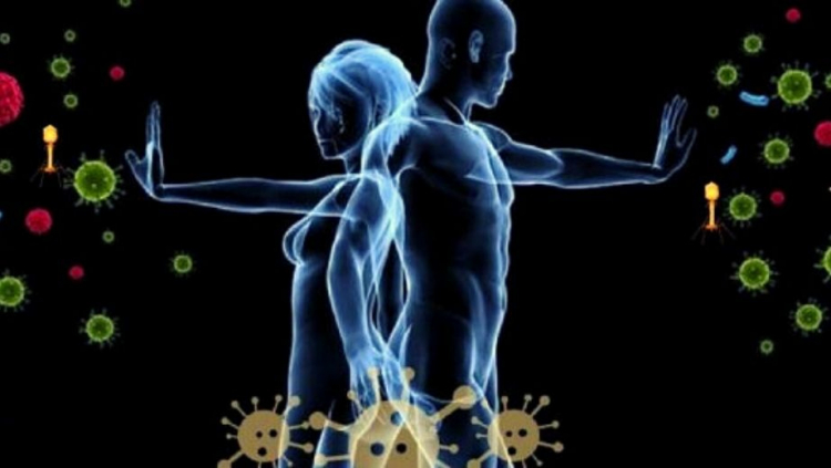 El sistema inmune sano, ¿nace o se hace?