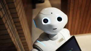 ¿Masoterapia con inteligencia artificial? Mayo Clinic estudia a un nuevo robot experto en masajes manipulativos