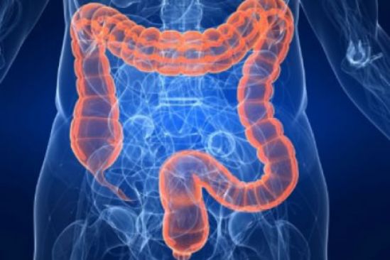 Diagnóstico del Síndrome de Intestino Irritable con un examen de sangre innovador no invasivo