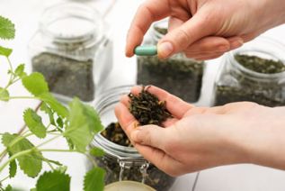 Buscan regular de manera oficial la Medicina Tradicional