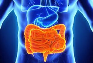 Del lactante al adulto mayor, científicos detectan 53 tipos de trastornos funcionales intestinales