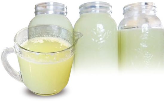 Bebida nutritiva de suero de leche, podría sustituir a refrescos o néctares de fruta