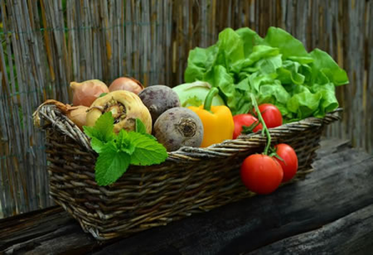 ¿Cómo la nutrición puede moldear el bienestar emocional de un niño?