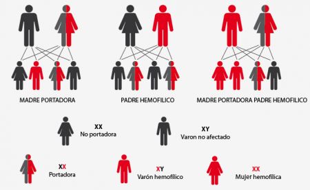 Terapia génica, solución para atender la Hemofilia
