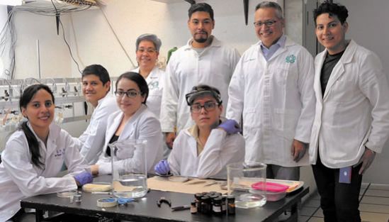 Analizan efectos cardioprotectores de sustancia análoga de la metformina,
