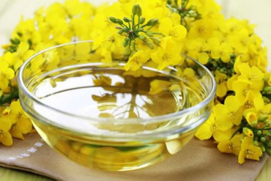 Aceite de Canola puede ayudar a reducir la grasa abdominal y mejorar el síndrome metabólico, según estudio