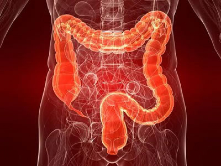OPINIÓN :: ¿Sabes cómo funciona tu sistema digestivo y por qué debes de cuidarlo?